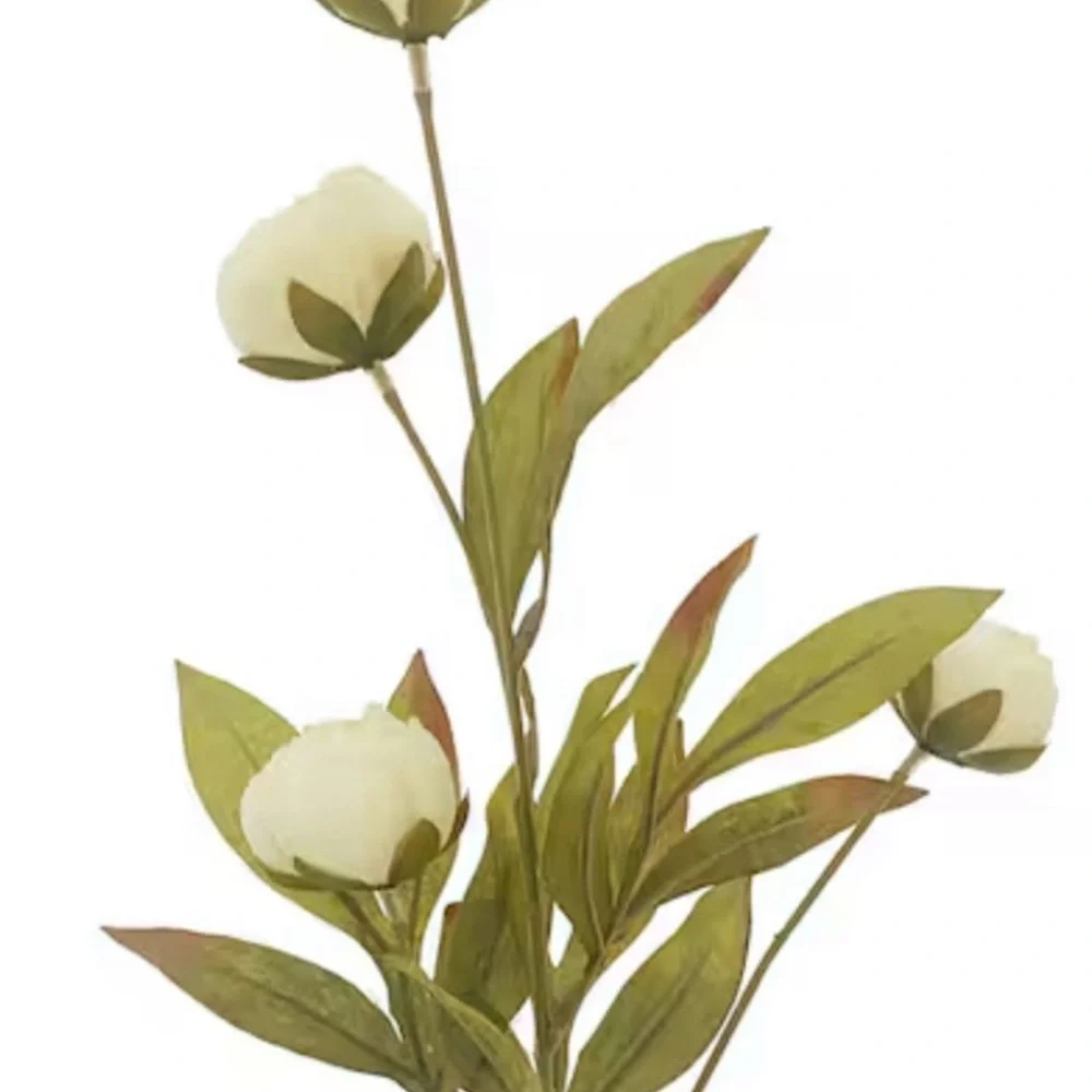 Viral Ashland Cream Peony Stem Michael’s- Set of 2